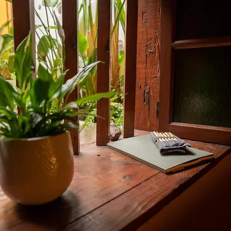 Rural Coliving Realejos * سانتا كروز دي تينيريف